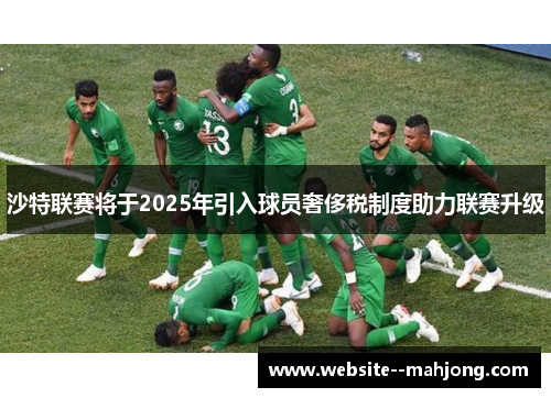 沙特联赛将于2025年引入球员奢侈税制度助力联赛升级